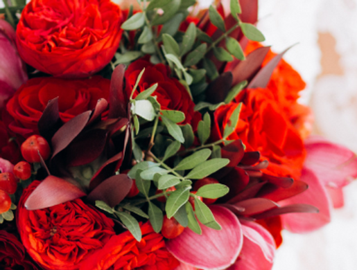 Untitled design-15.png