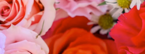 Screenshot 2025-07-05 at 8.41.02 AM.png