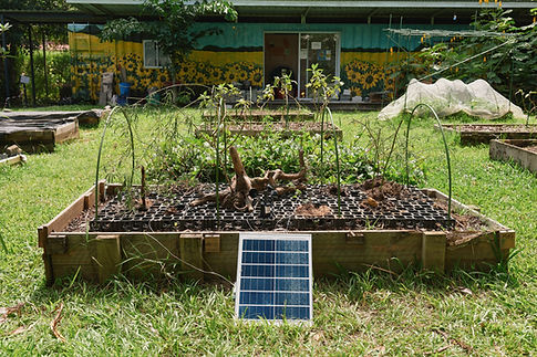 Kinetic installation in flower plot.