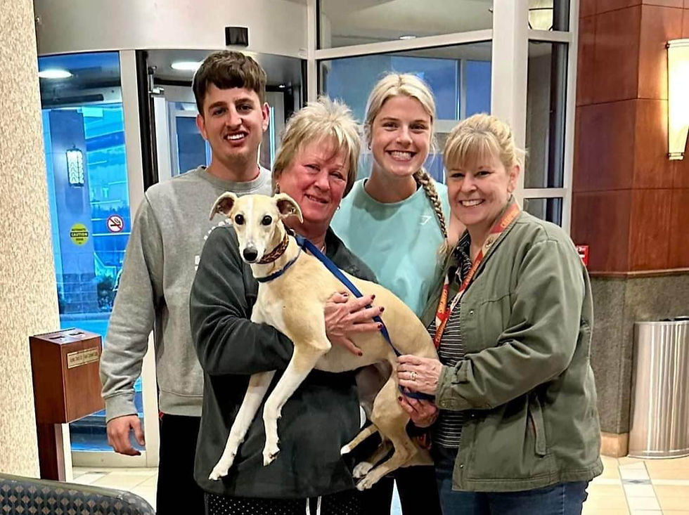 Jetstream Whippets breeder Lorraine Burch with Ula, Trevor, Brooklyn, and Amy
