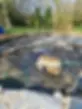 Pond with water leak needing repair in Utah
