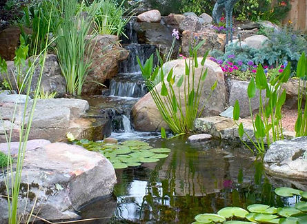 Pond-designbackyard-pondspond-constructionpond-builders.jpg
