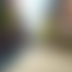 Toronto street lined with local shops and cafes, showcasing small businesses in a vibrant downtown neighborhood.