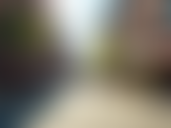 Toronto street lined with local shops and cafes, showcasing small businesses in a vibrant downtown neighborhood.