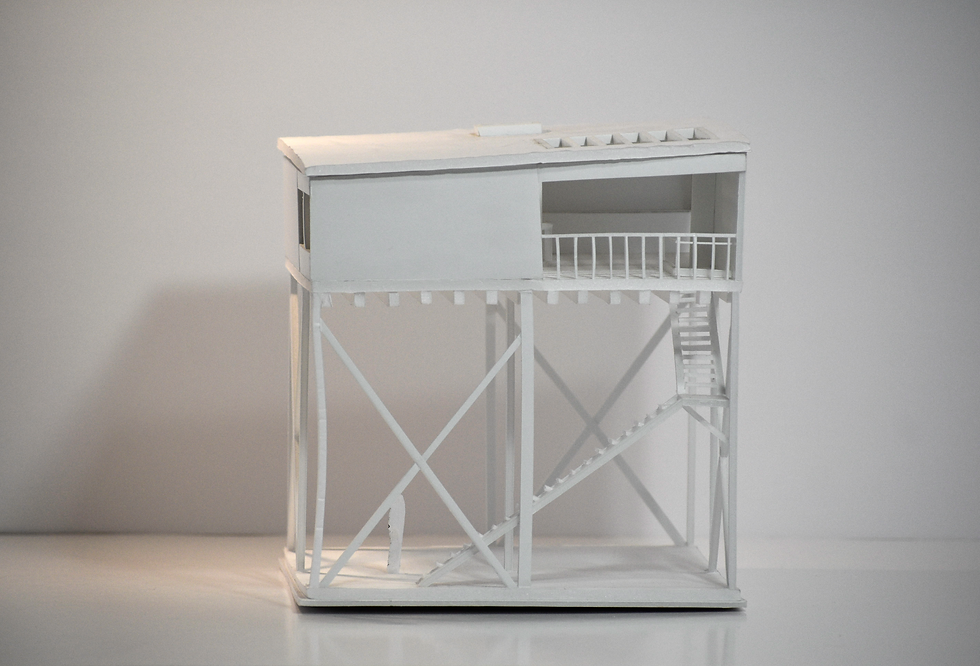 _DSC0036m.png