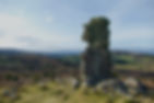 Dartmoor tor