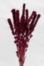 Upright - Burgundy