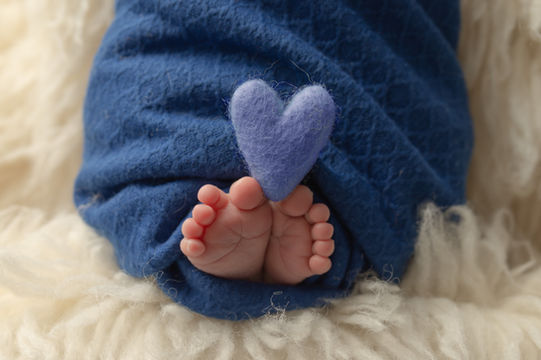 SE Michigan newborn photographer, newborn photography near me, newborn portraits SE Michigan