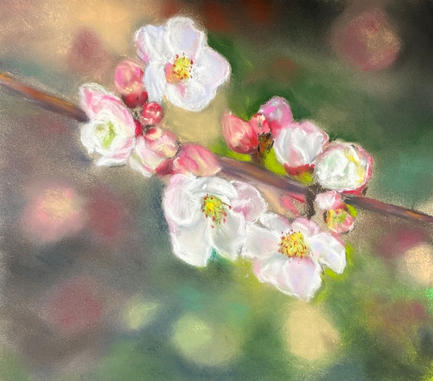 Spring Blossom.jpeg