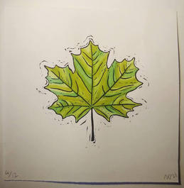 Maple Leaf.jpeg