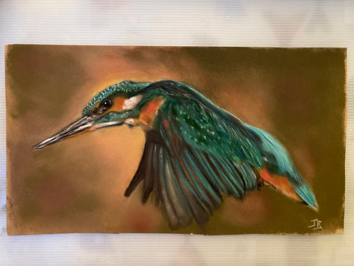 Kingfisher in Flight.jpeg