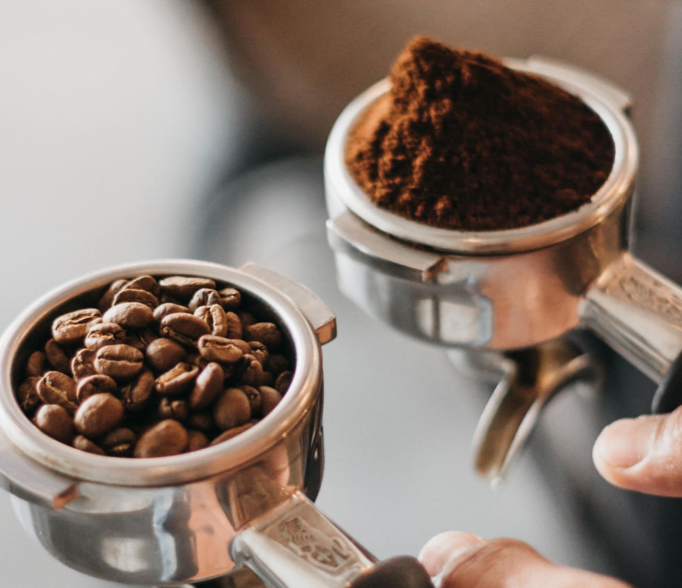 Coffee Bean Comparison