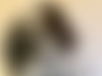 Poor Things Reveals the Monster in the Closet