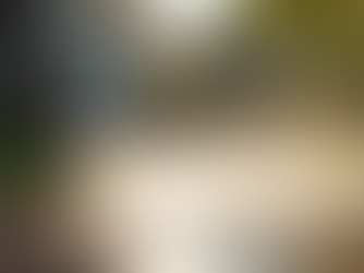 Before and After: The Power of Pressure Washing