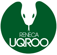 LOGO IN (2).png