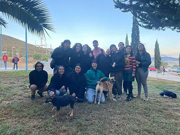 WhatsApp Image 2024-04-09 at 14.51.15.jpeg