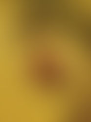 6 Hidden Benefits To Honey