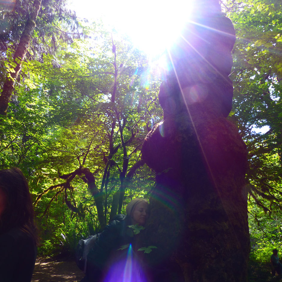 Energies Entering our Bodies & the Earth
