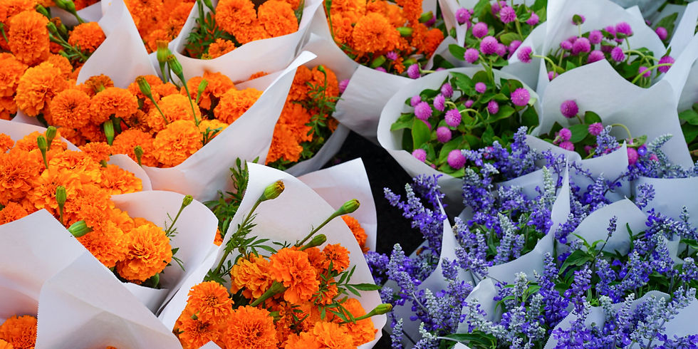 Seasonal Flowers in Mossel Bay