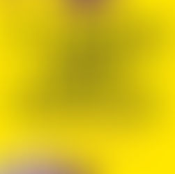 Arts Faculty sparks creativity at Clarens Arts Festival