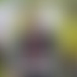 TUT names buildings after two SA creative giants