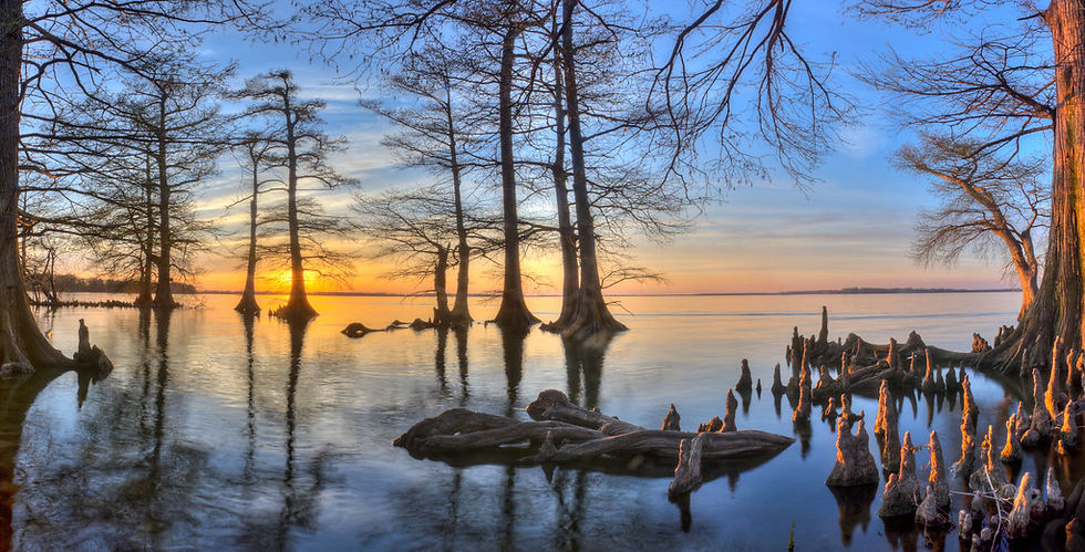 reelfoot lake.jpg