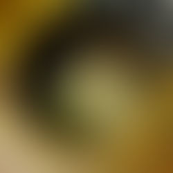 Bela J. Gemza acoustic guitar