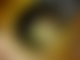 Bela J. Gemza acoustic guitar