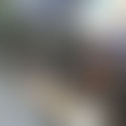 GUILD 12 STRING FRETS