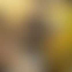 Wes removing frets from a Blue Rock 6 string bass