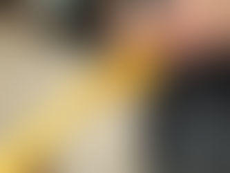 Fender Telecaster Deluxe fretboad overspray , refret and bone nut