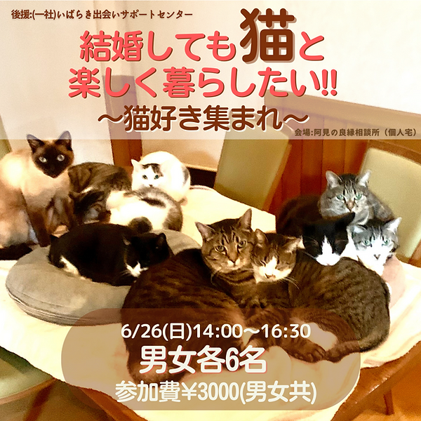 白　ビジネススクール　インスタグラム　Instagramの投稿のコピー (1).png