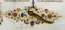 79-paon.JPG