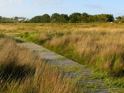 La dixième réserve régionale inaugurée