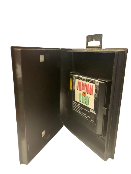 Thumbnail: Jordan vs Bird