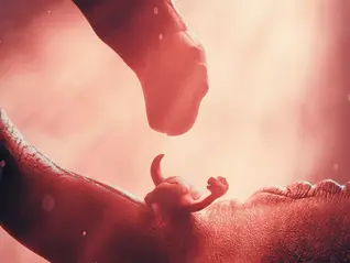 LITTLEFOOT Went Viral This Weekend. I’m Still Processing It.