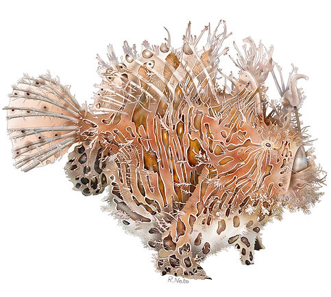 frog_fish_hairy_png_edited.jpg