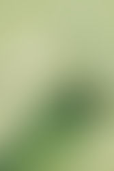 10 Tips from Experts for Anti-Aging Care