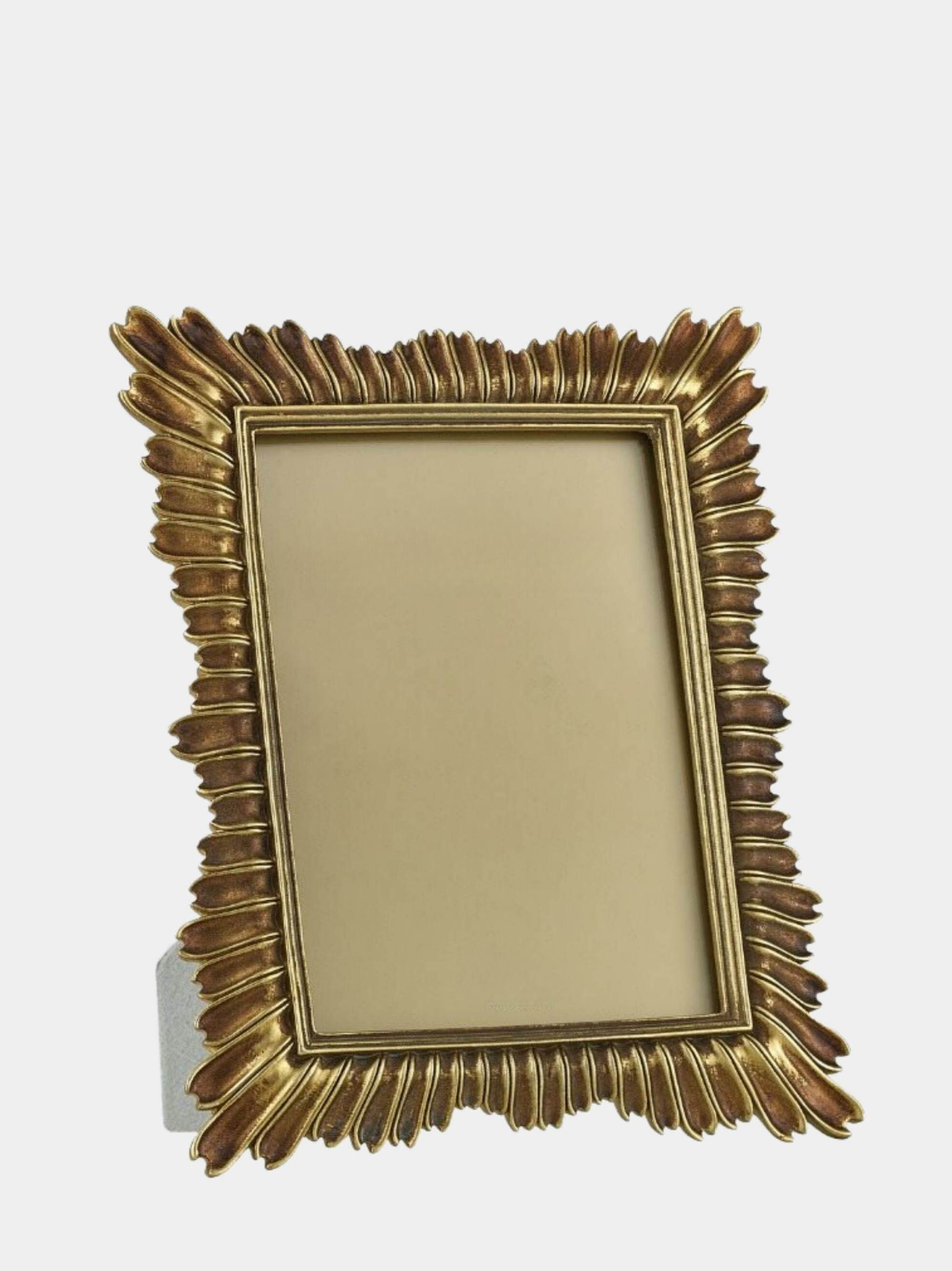 إطار صورة صن راي