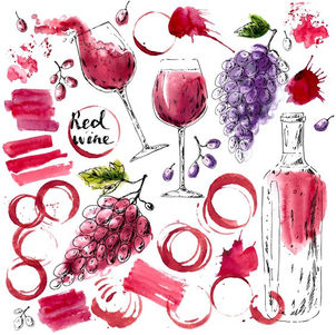 South African Wines 101