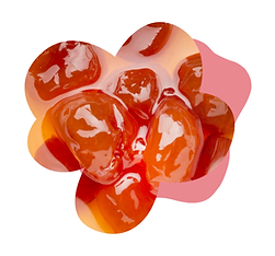ELEMENTS SITE_2 - 2025-10-29T163758.536.png