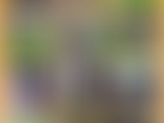 Reception Class visit to the Quarry