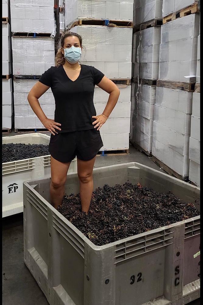 The 2020 Pet Nat Journey (in photos)