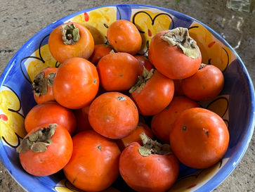 Today's challenge - persimmons
