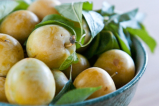 wild-plums