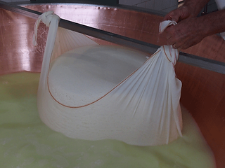 parmesan-2