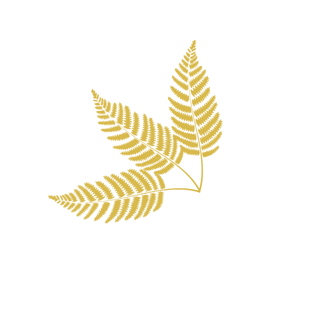 Three Ferns Bag Company