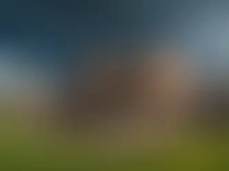 Uncovering the Benefits of Hiring a Public Adjuster for Your Insurance Claim Needs