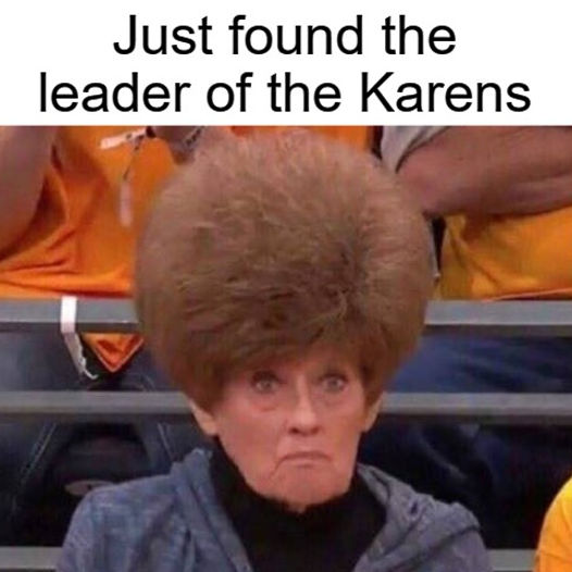 leaders-of-the-karens-found