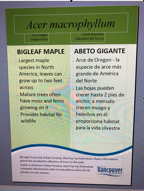 Screen Shot 2021-12-01 at 9.13.48 AM.jpeg